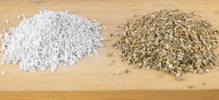 What's the difference between perlite and vermiculite?