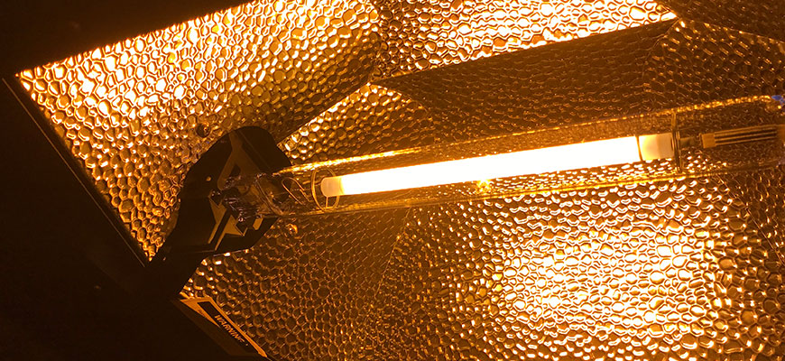 single ended grow lights vs double ended grow lights