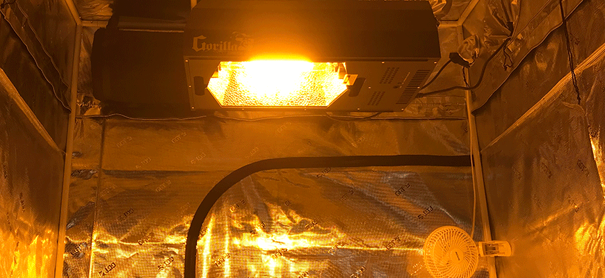 when and how to replace grow light bulbs