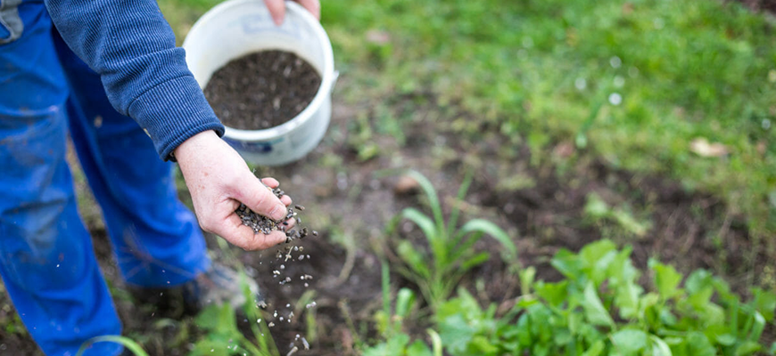 How To Use Bone Meal