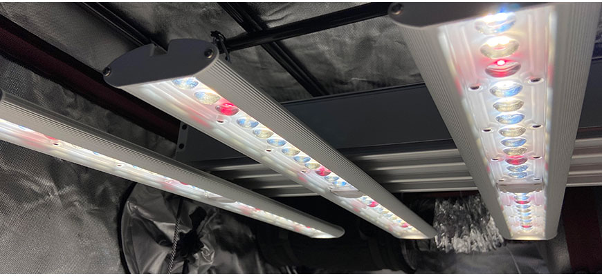 LED vs HPS