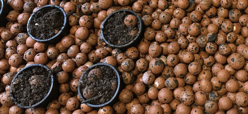 Grow Media: Clay Pebbles Vs Grow Stones