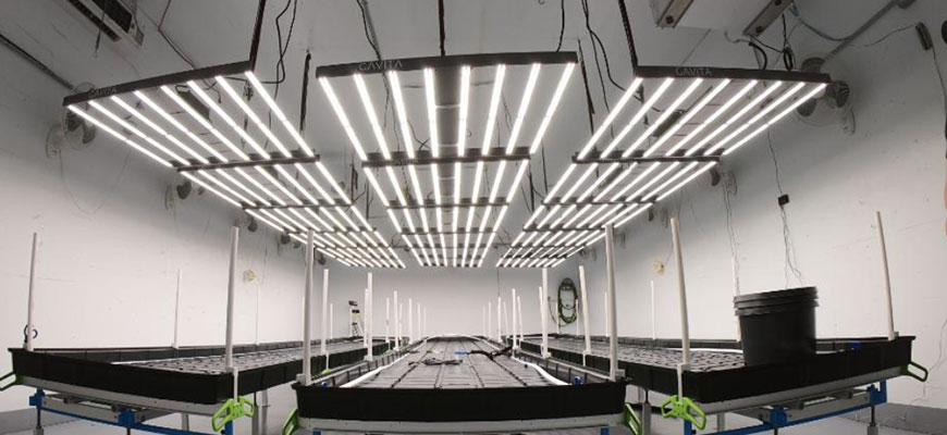 grow room electricity calculator